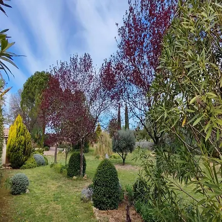 Spacious With Private Pool And Park, Cleaning Included *